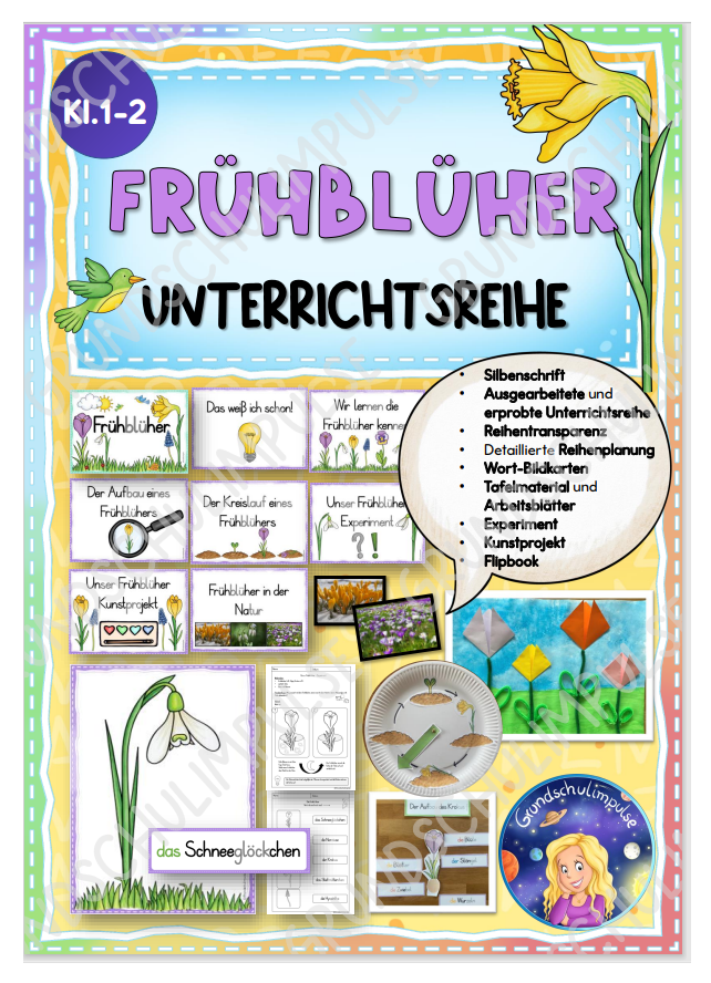 Frühblüher - Unterrichtsreihe (Klasse 1+2) – Grundschulimpulse