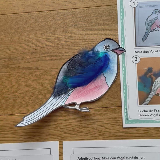 Kunstprojekt bunte Vögel Grundschule zu dem Lied "Alle Vögel sind schon da"