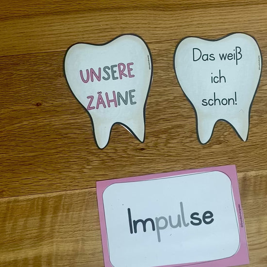 Unterrichtsreihe Zähne Grundschule