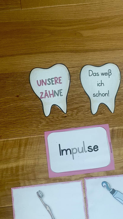 Unterrichtsreihe Zähne Grundschule