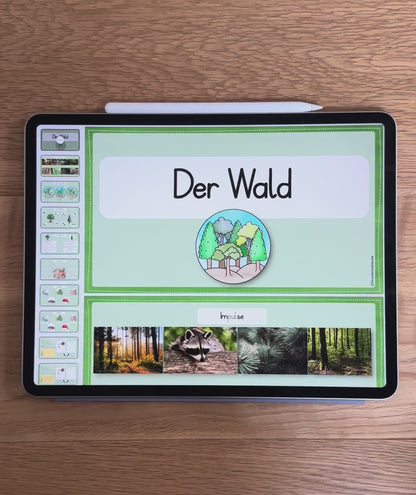 Der Wald - PDF für die digitale Tafel (Klasse 1+2)