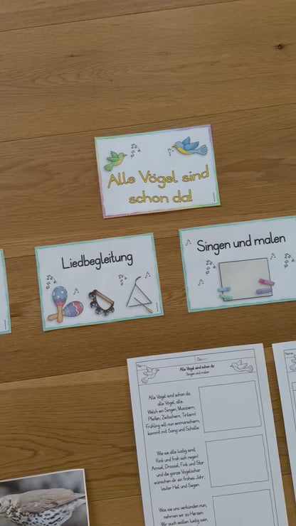 Mini-Reihe: Alle Vögel sind schon da!