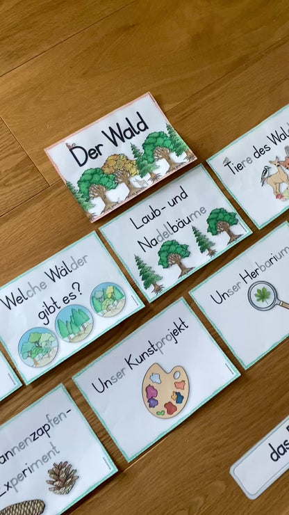 Unterrichtsreihe - Der Wald (Klasse 1+2)