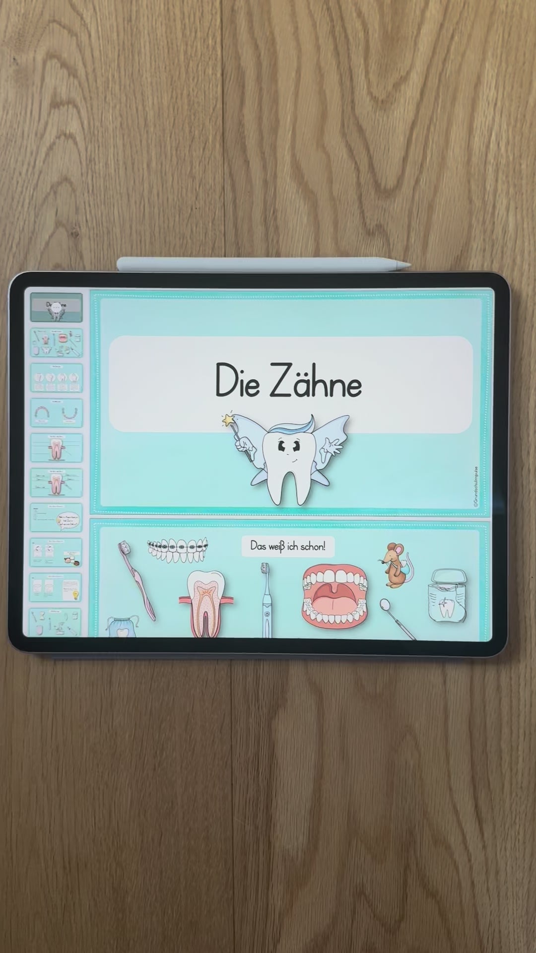 Unterrichtsreihe Zähne PDF für die digitale Tafel